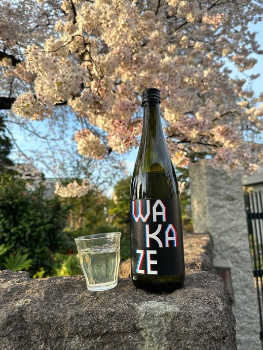 桜　お花見　＆　WAKAZE CLASSIC