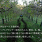 LOVEVADOS 梅酒 250mL