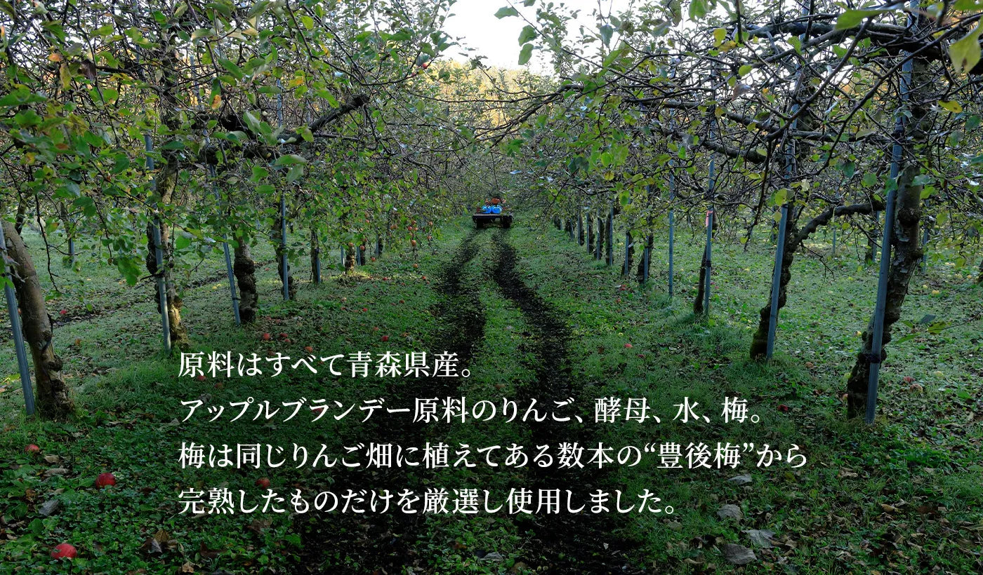 LOVEVADOS 梅酒 250mL